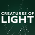 Creatures of Light